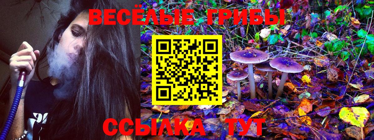 Псилоцибиновые грибы прущие грибы Приморско-Ахтарск
