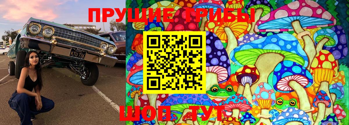 Галлюциногенные грибы Cubensis  Вход с VPN  Приморско-Ахтарск 